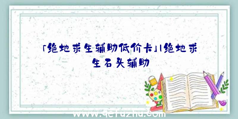 「绝地求生辅助低价卡」|绝地求生石头辅助